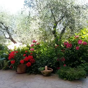 Vecchio Casale Margherita Camaiore